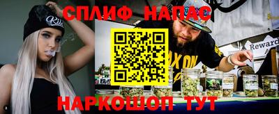Альфа ПВП Будённовск