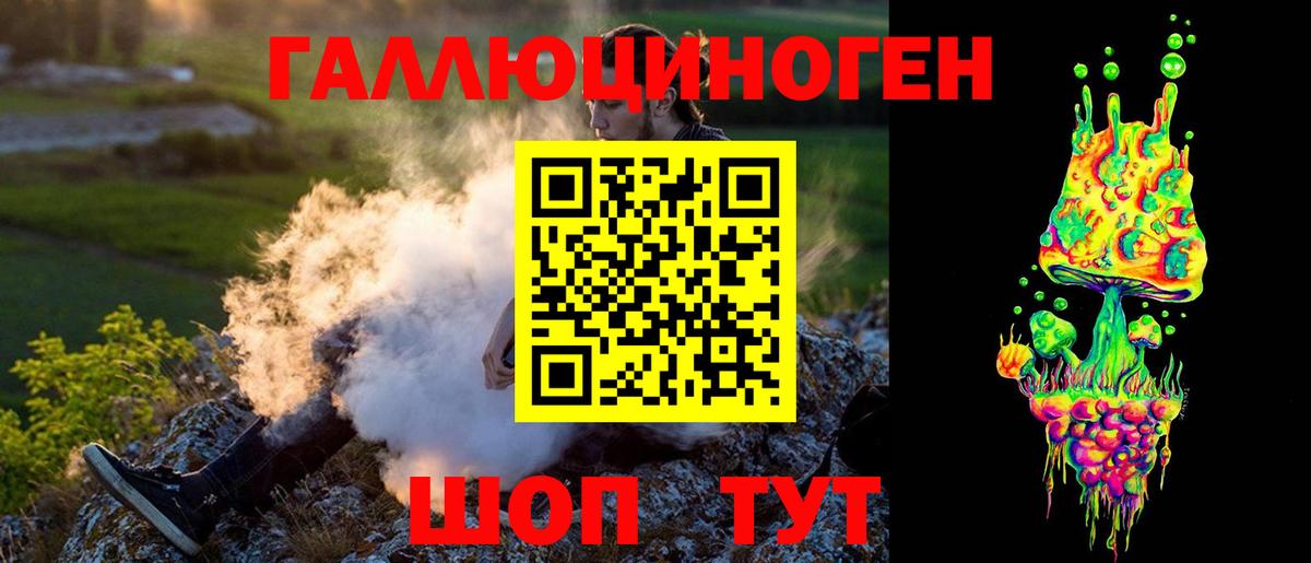 Галлюциногенные грибы Psilocybe Асино