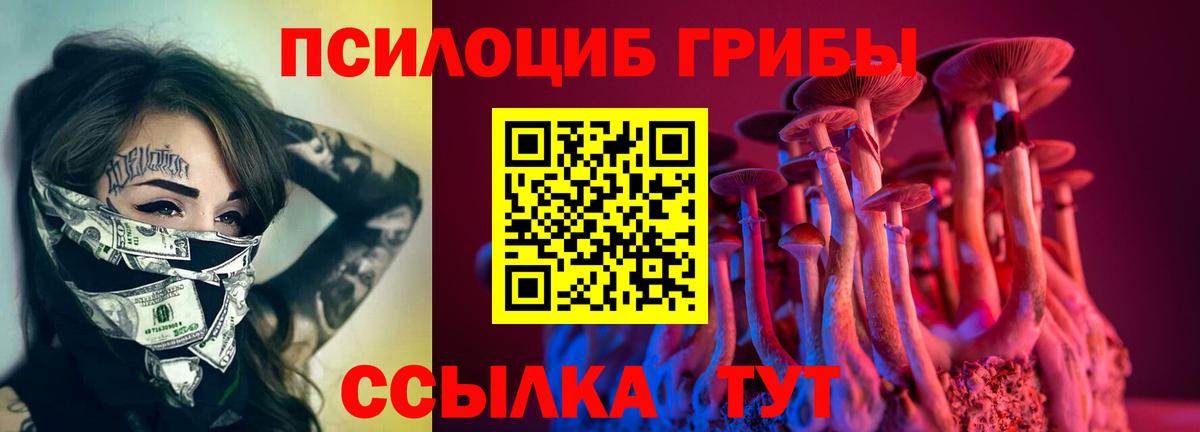 Галлюциногенные грибы Magic Shrooms  Галлюциногенные грибы мухоморы  Вход с VPN  Асино 